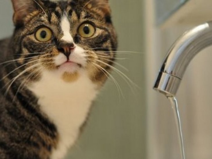 Названа дата традиционного весеннего отключения горячей воды в Астрахани