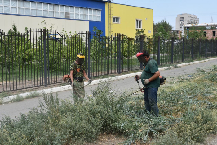 В Астрахани избавляются от лебеды