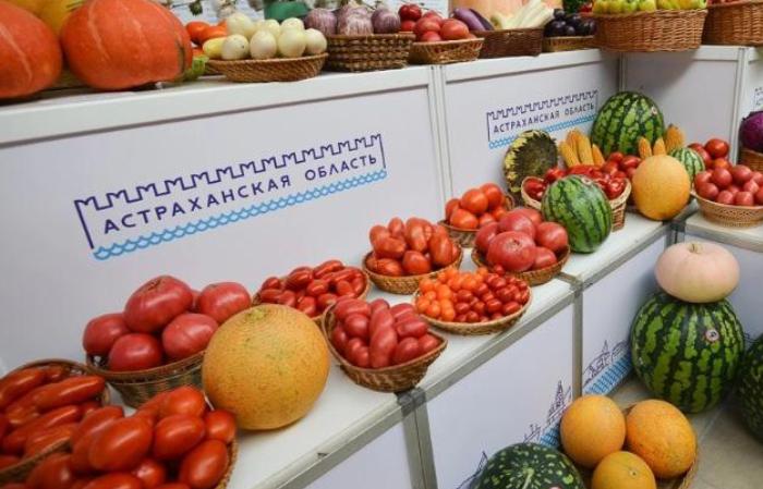 Для нового урожая астраханские аграрии полностью обеспечены семенами раннего картофеля