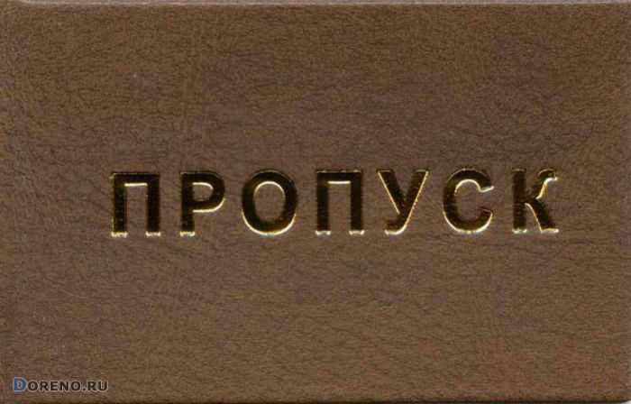 Как подать заявку на разовый пропуск для перемещения по Астрахани