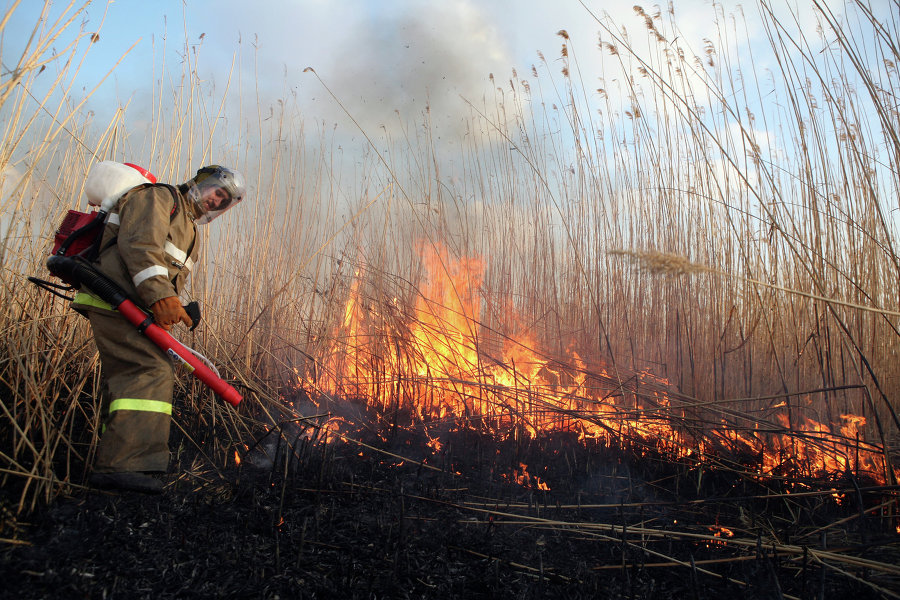 Добровольцы  Greenpeace будут тушить пожары в Астраханском заповеднике