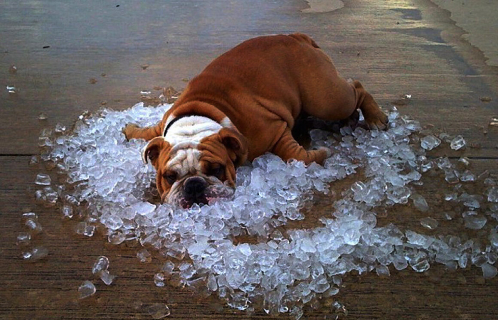 МЧС предупреждает астраханцев об адской жаре