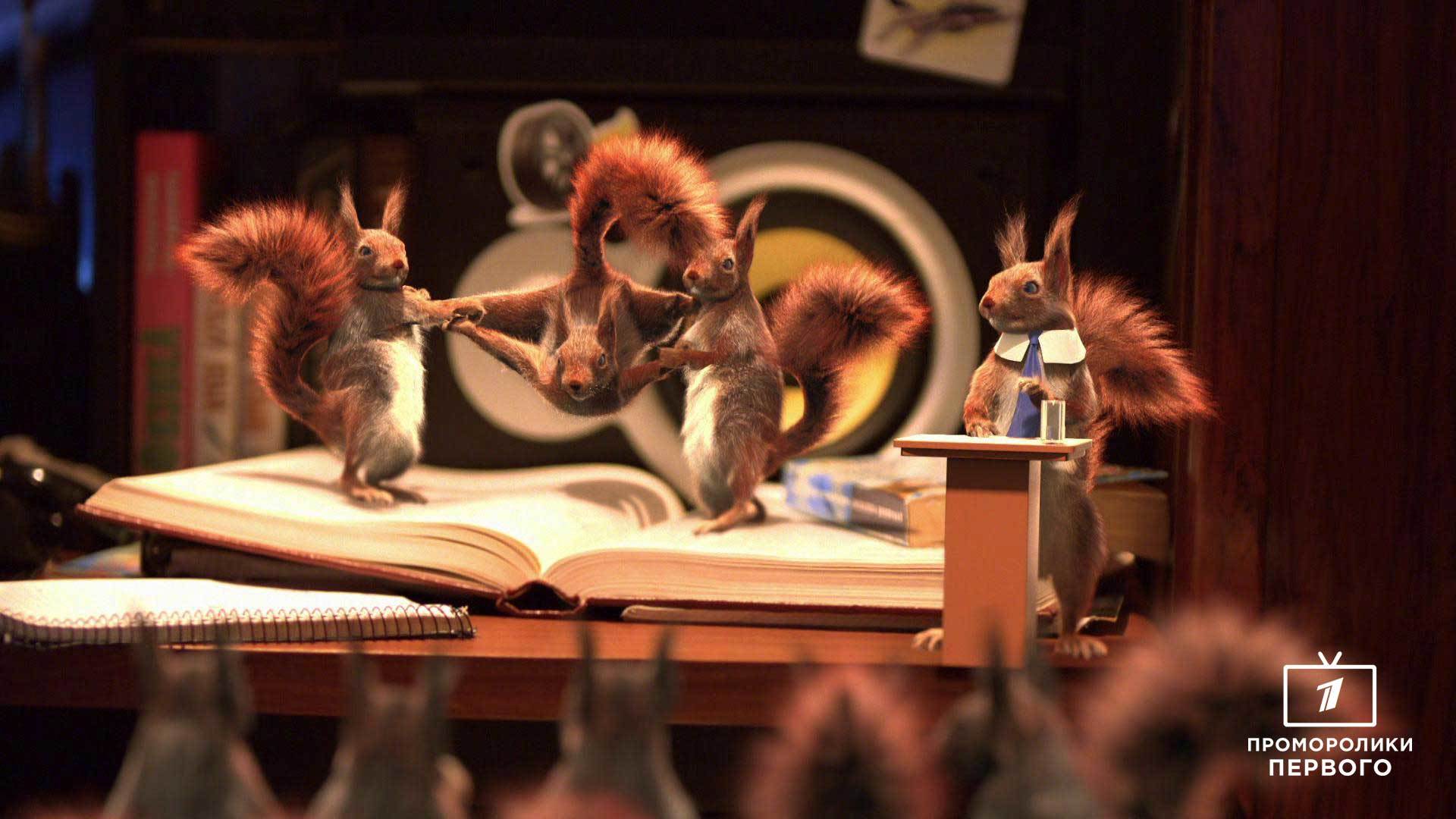 Астраханский общественник пожаловался президенту на белочек в новогодние каникулы