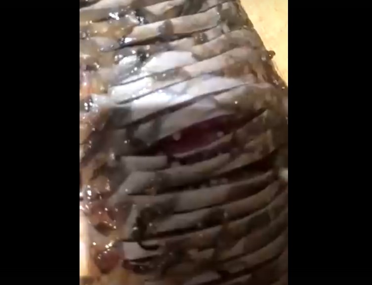 В Астраханской области поймали странную рыбу