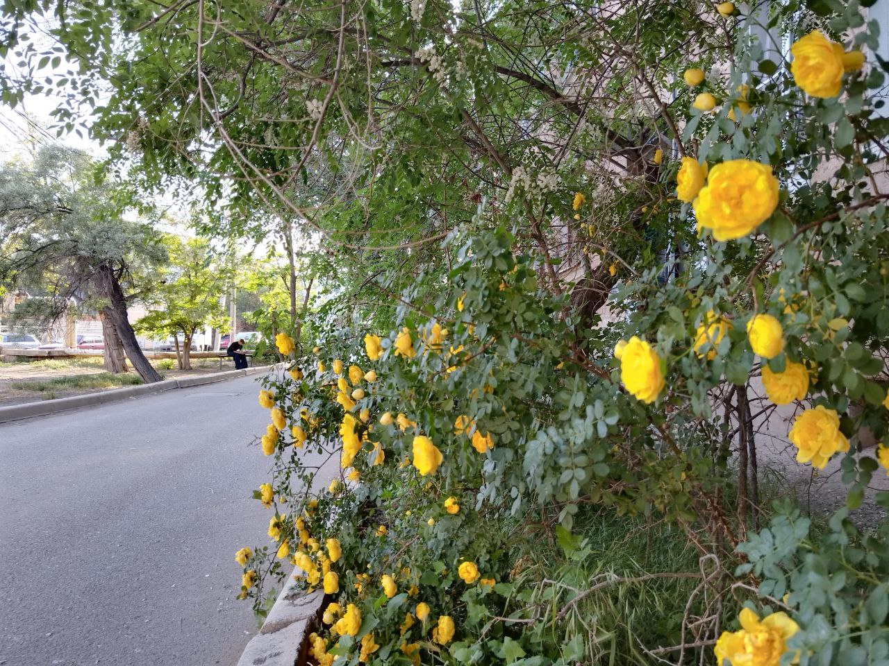 Завтра в Астрахани тепло и наконец-то без дождя 