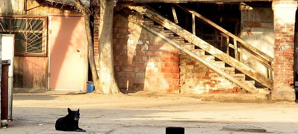 В Астрахани выберут самый красивый двор