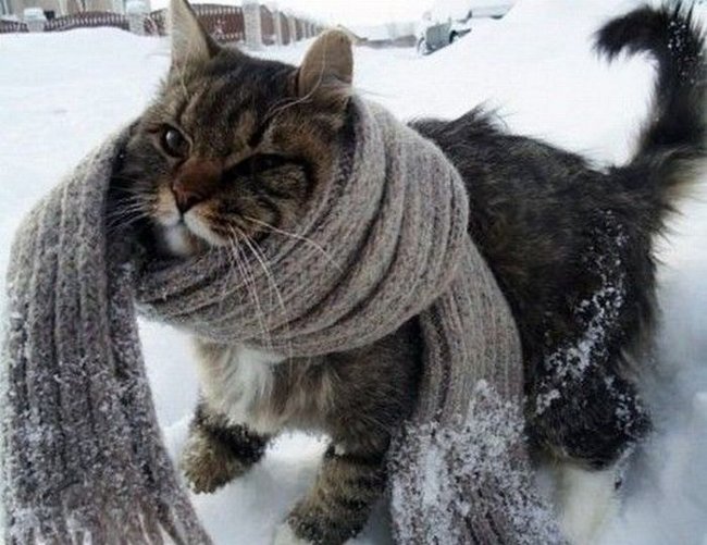 Зима опомнилась: в Астрахани установилась минусовая температура