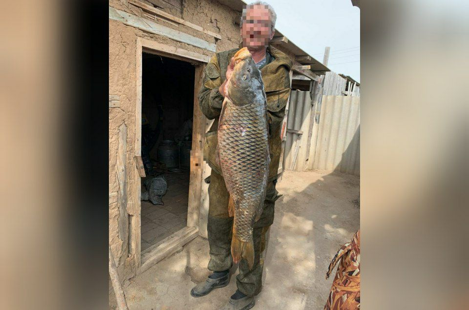 Астраханский рыбак поймал 17-килограммового сазана