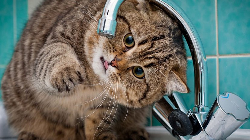 Сегодня астраханцы останутся без холодной воды