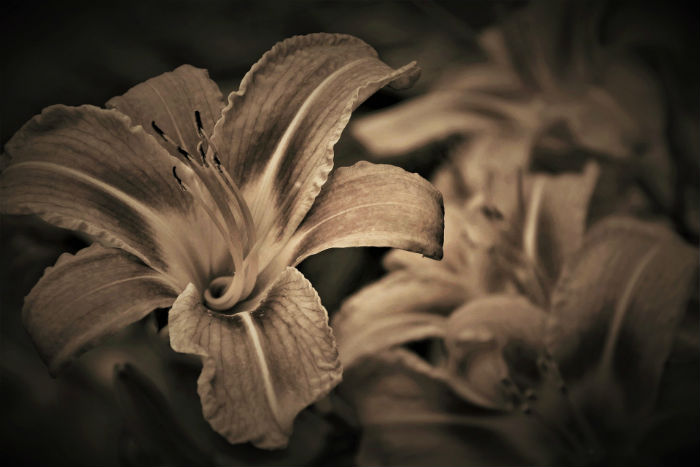 Спасти не удалось: еще двое астраханцев скончались от коронавируса