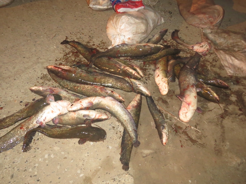 Полиция задержала троих астраханцев, ловивших рыбу на зимовальных ямах