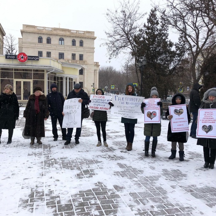 В центре города астраханцы вышли на защиту бездомных животных