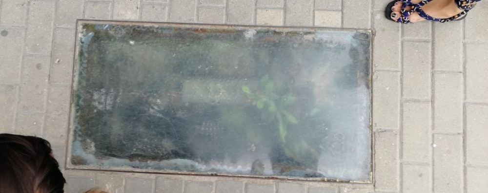 В центре Астрахани матушка-природа заявила о себе