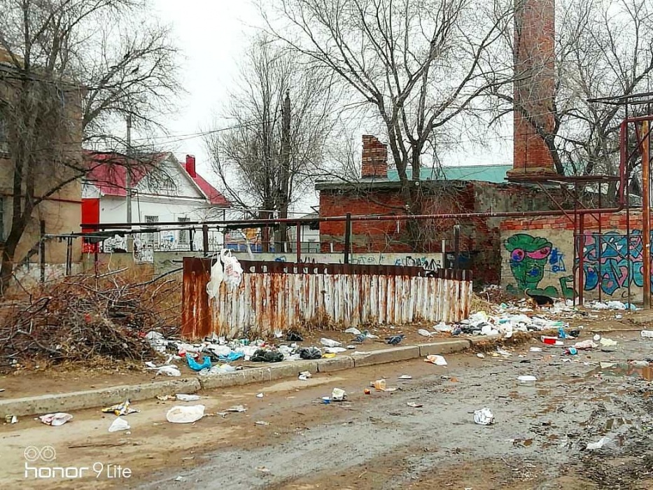 Возле астраханской школы устроили настоящий свинарник