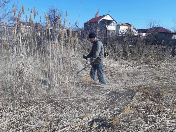 Во избежание пожаров во всех районах Астрахани косят камыш