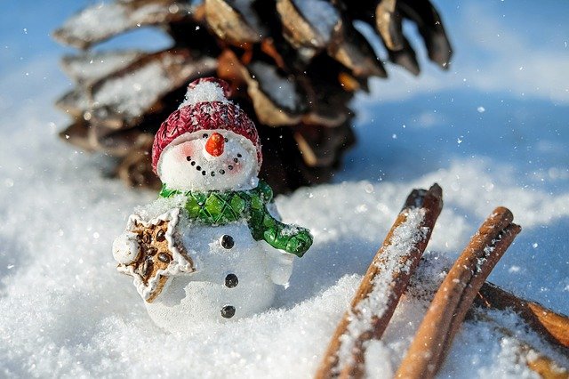В Новый год с новой погодой: побалует ли январь астраханцев снегом?
