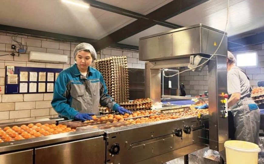 Астраханская птицефабрика «Харабалинская» совершила невозможное