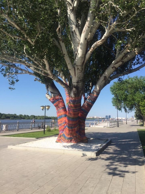 В Астрахани еще несколько деревьев оденут в "свитеры"