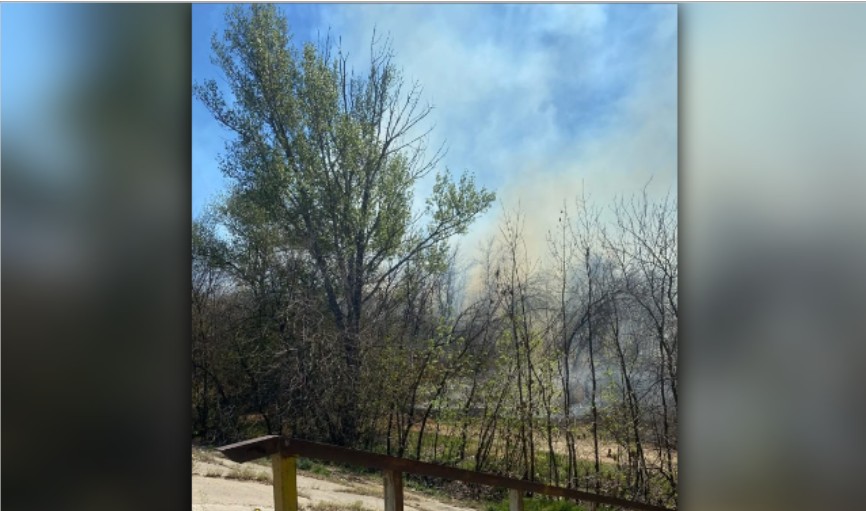 В Астрахани горит остров Городской