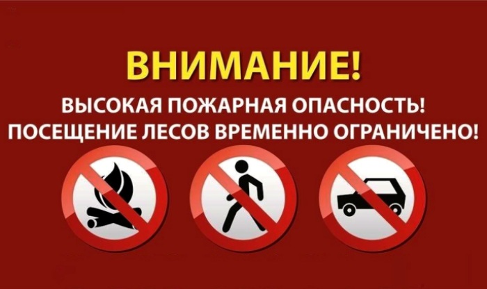 В Астраханской области в третий раз продлили ограничение по нахождению в местных лесах