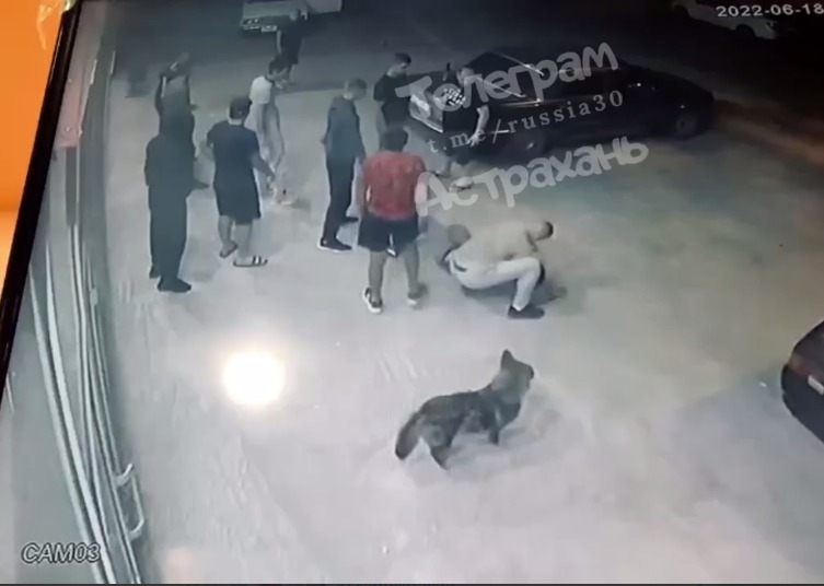 Астраханец с одного удара отправил мужчину в нокаут во время потасовки: видео