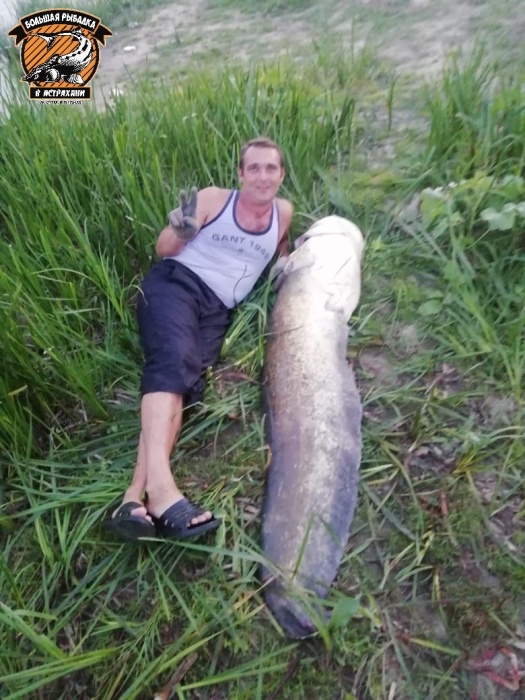 Астраханец выудил громадную рыбу