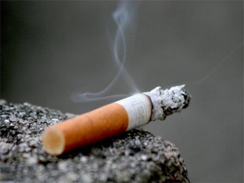 Эту нацию не победить: единороссы намерены отменить запрет на курение в аэропортах и на ж/д вокзалах