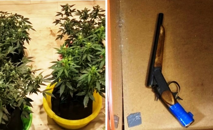 Каннабис – в подвале, оружие – под матрасом: в Астрахани полиция в одном доме накрыла наркоферму и арсенал
