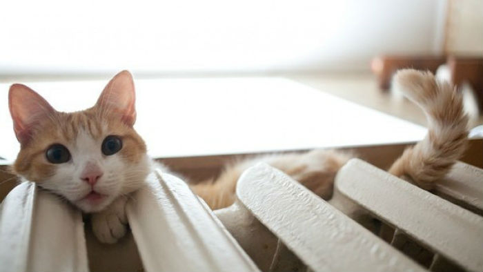  Под Астраханью коммунальщики оставили без отопления почти 50 тысяч жителей 