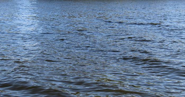 Найдено тело девочки, которая утонула вместе с бабушкой под Астраханью