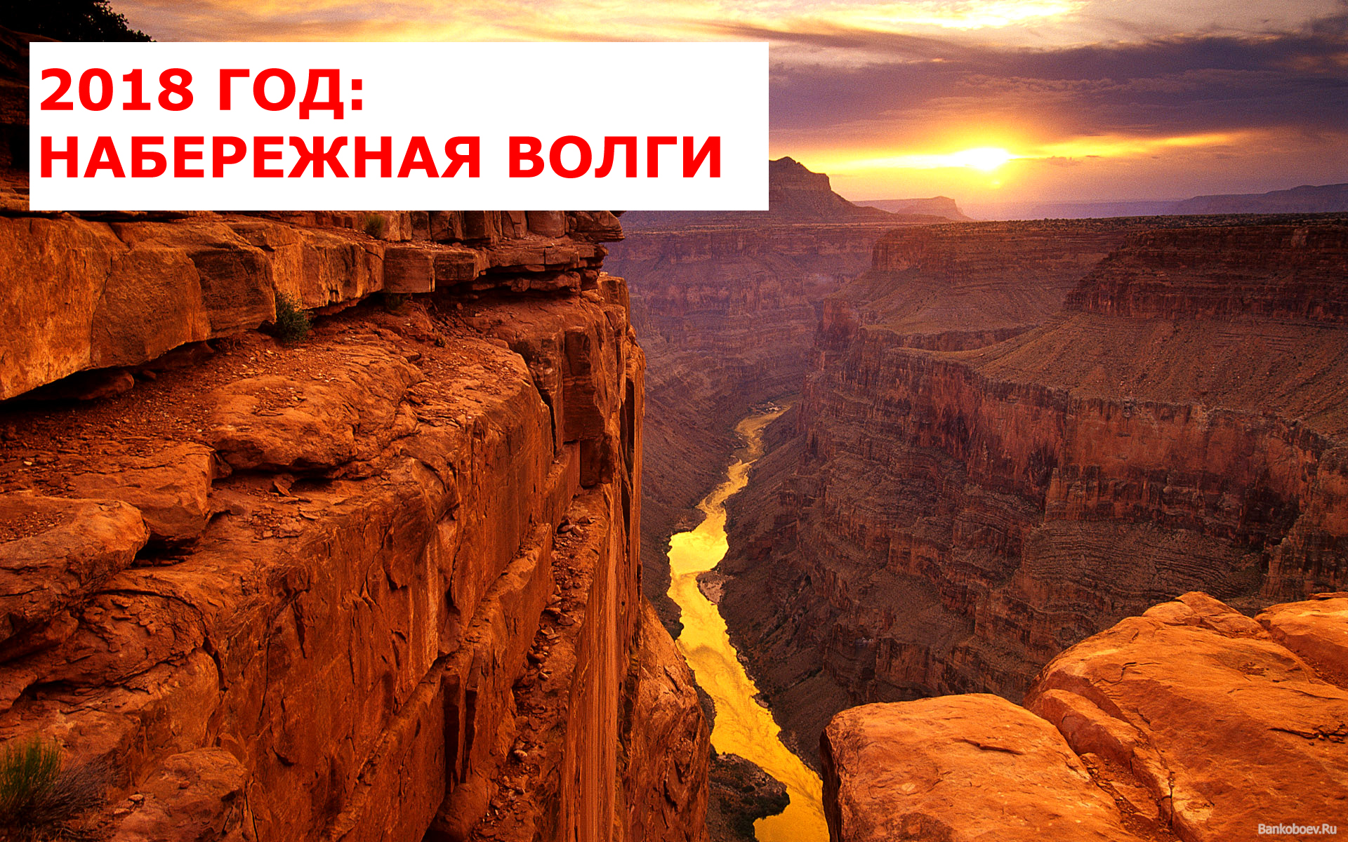 Нижнюю Волгу ждет экологическая катастрофа. Если не остановить волгоградцев