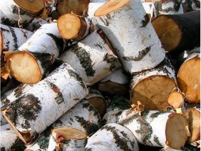 Время запасаться дровами? ЛУКОЙЛ-ТТК бьет тревогу из-за 860-миллионного долга потребителей за тепло 