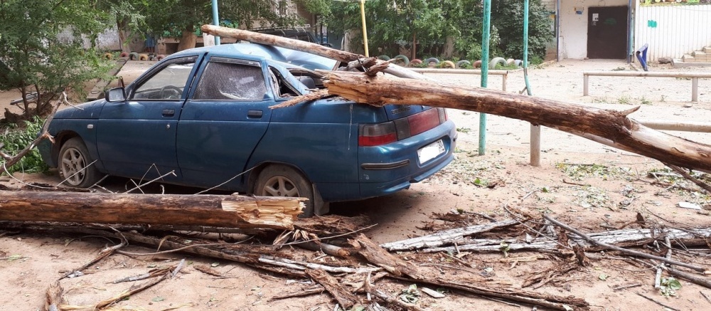 Наломали дров: в Астрахани дерево упало на машину