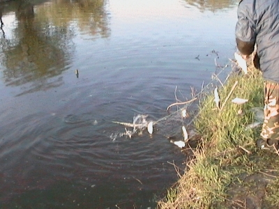 Под Астраханью двое сельчан полностью перекрыли реку ставной сетью