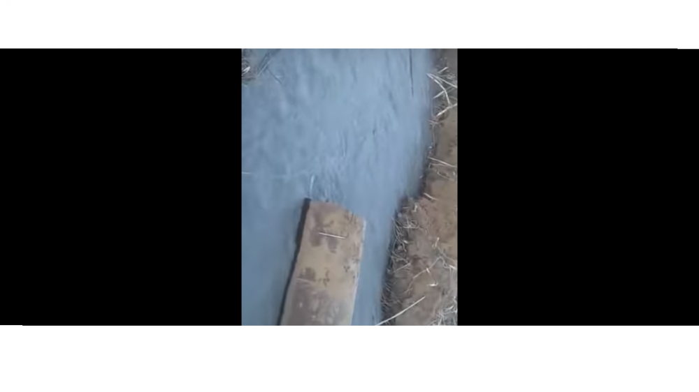 В Астрахани в Волгу сливают помои (ВИДЕО)