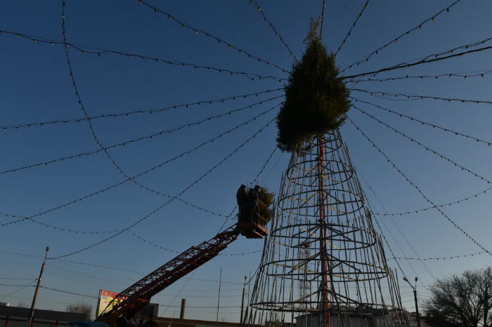 На разворотном кольце Мостроя ставят живую ель. Как всегда самую красивую и грандиозную