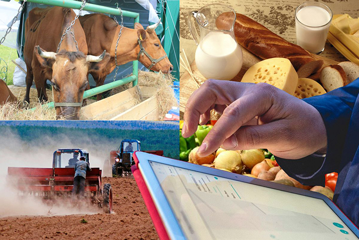 Астраханские фермеры могут получить гранты