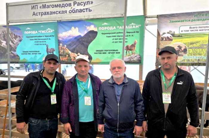 Астраханские животноводы завоевали дюжину медалей Российской выставки племенных овец и коз
