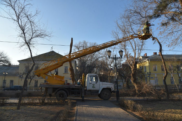 На Лебедином озере в Астрахани снова пилят деревья