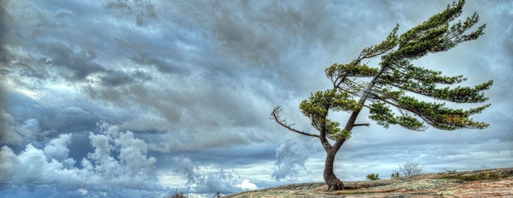 Астраханцев ждет ветреный и прохладный вторник
