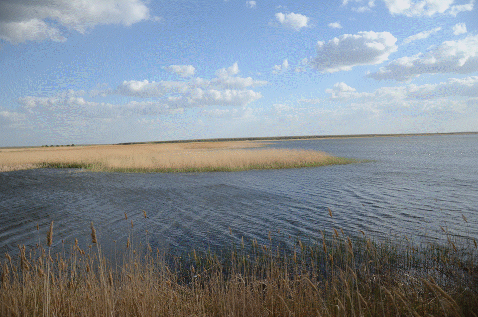 На берегу реки в Астраханской области найден покойник