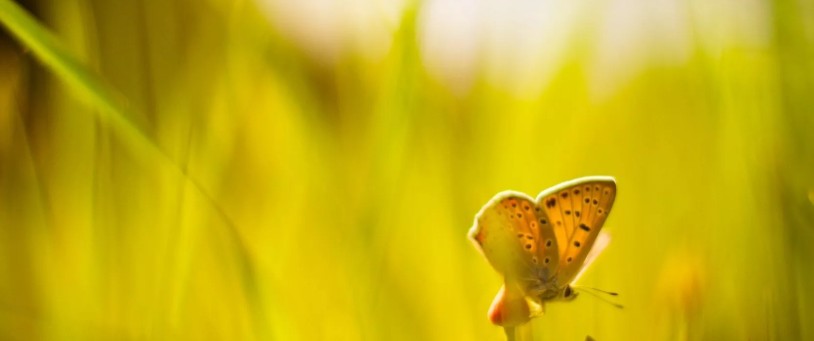 Астраханцев ждет теплая солнечная пятница