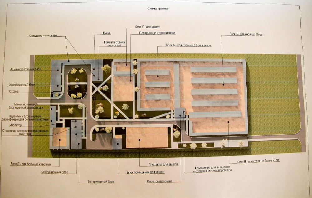 Собачий приют в Астрахани обещают построить к выборам