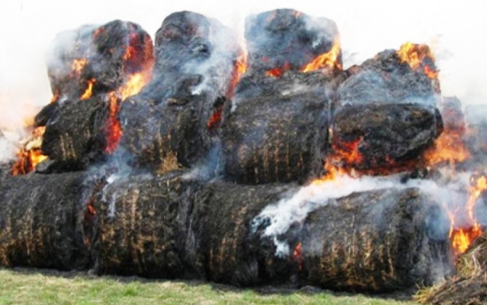 В астраханском селе  дельтовой зоны Волги умышленно сожгли 30 рулонов сена