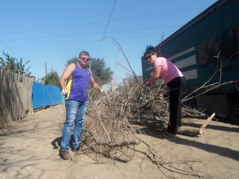 Астраханец обратился в полицию с просьбой… срубить высохшее дерево во дворе