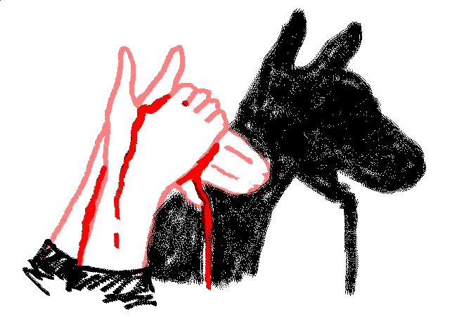 БЕШЕНАЯ СОБАКА ЗАГРЫЗЛА 4-ЛЕТНЕГО МАЛЬЧИКА