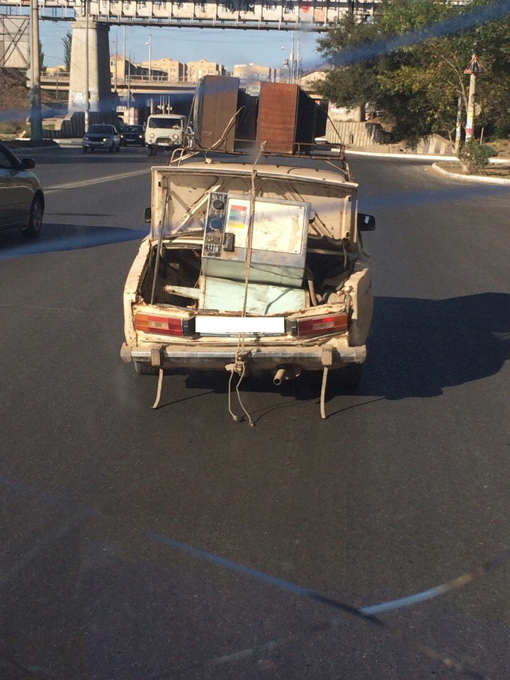 Фото (и видео) дня: я маленькая лошадка...