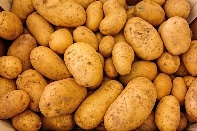 Астраханские аграрии увеличат долю производства картофеля на российском рынке