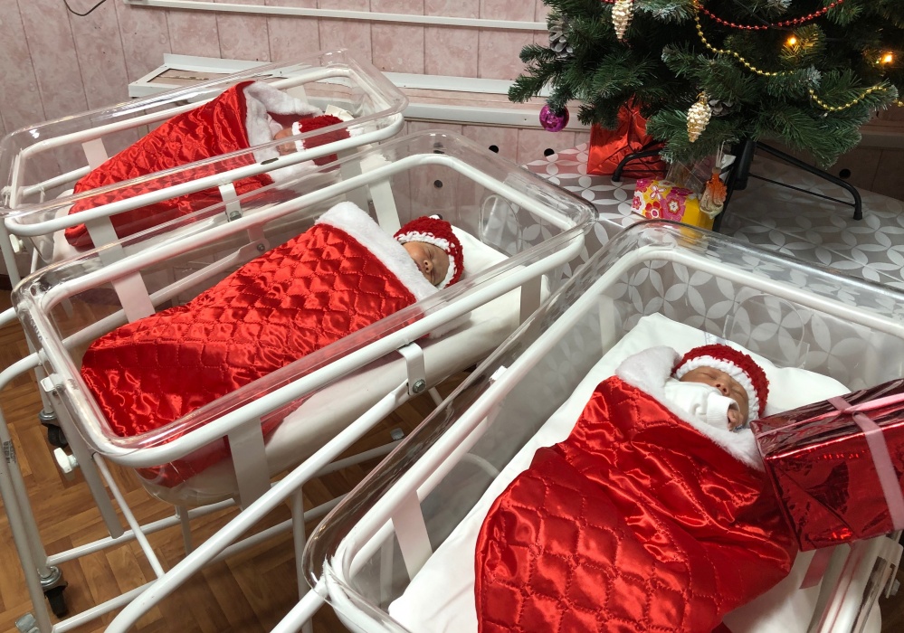 В предновогоднюю неделю Астрахань отличилась плодовитостью