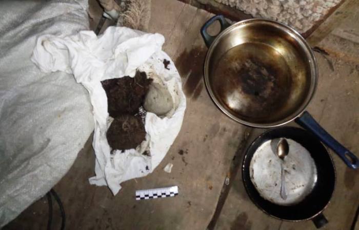 В доме астраханца  полиция обнаружила 30 кустов конопли и пакет с марихуаной